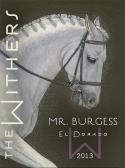 0 The Withers Winery - Mr Burgess El Dorado