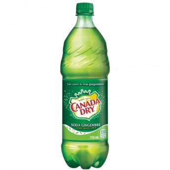 Canada Dry Ginger Ale (6 pack cans) (6 pack cans)