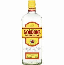 Gordons - Gin (1L) (1L)